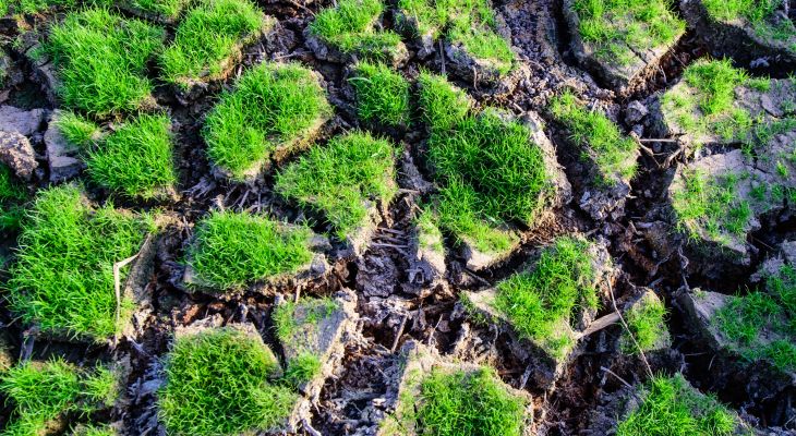 Vláda schválila Národní akční plán adaptace na změnu klimatu